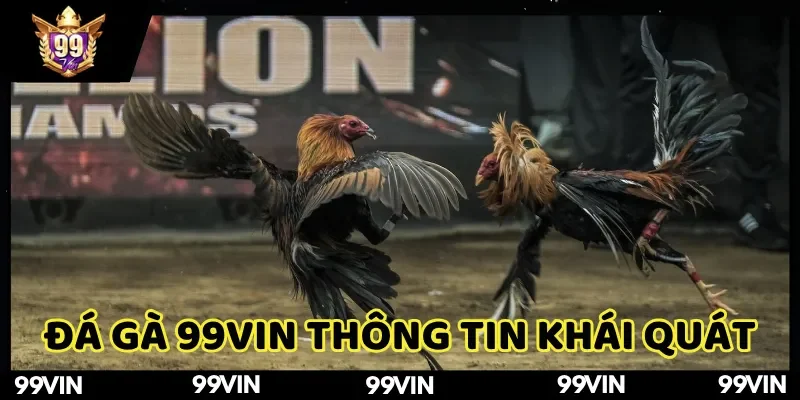 Đá gà 99Vin