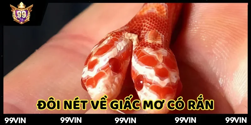 Mơ thấy rắn