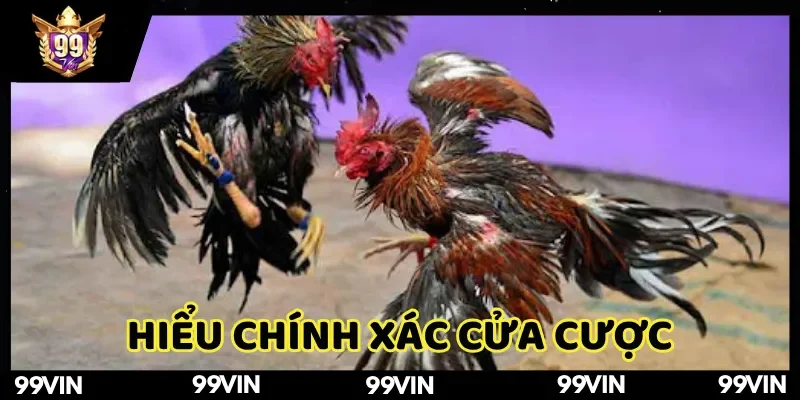 Đá gà 99Vin