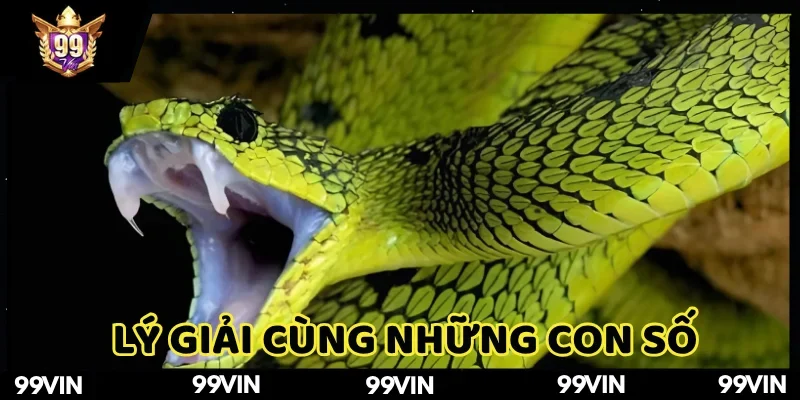 Mơ thấy rắn